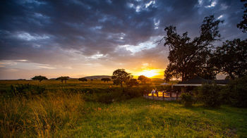 Elewana Sand River Masai Mara Ξενοδοχείο Μασάι Μάρα Εξωτερικό φωτογραφία