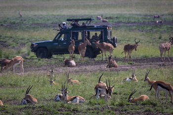 Elewana Sand River Masai Mara Ξενοδοχείο Μασάι Μάρα Εξωτερικό φωτογραφία